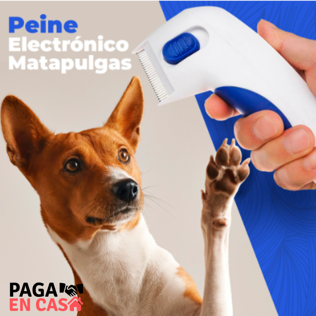 Peine eléctrico quita Pulgas y Garrapatas🪳🚫